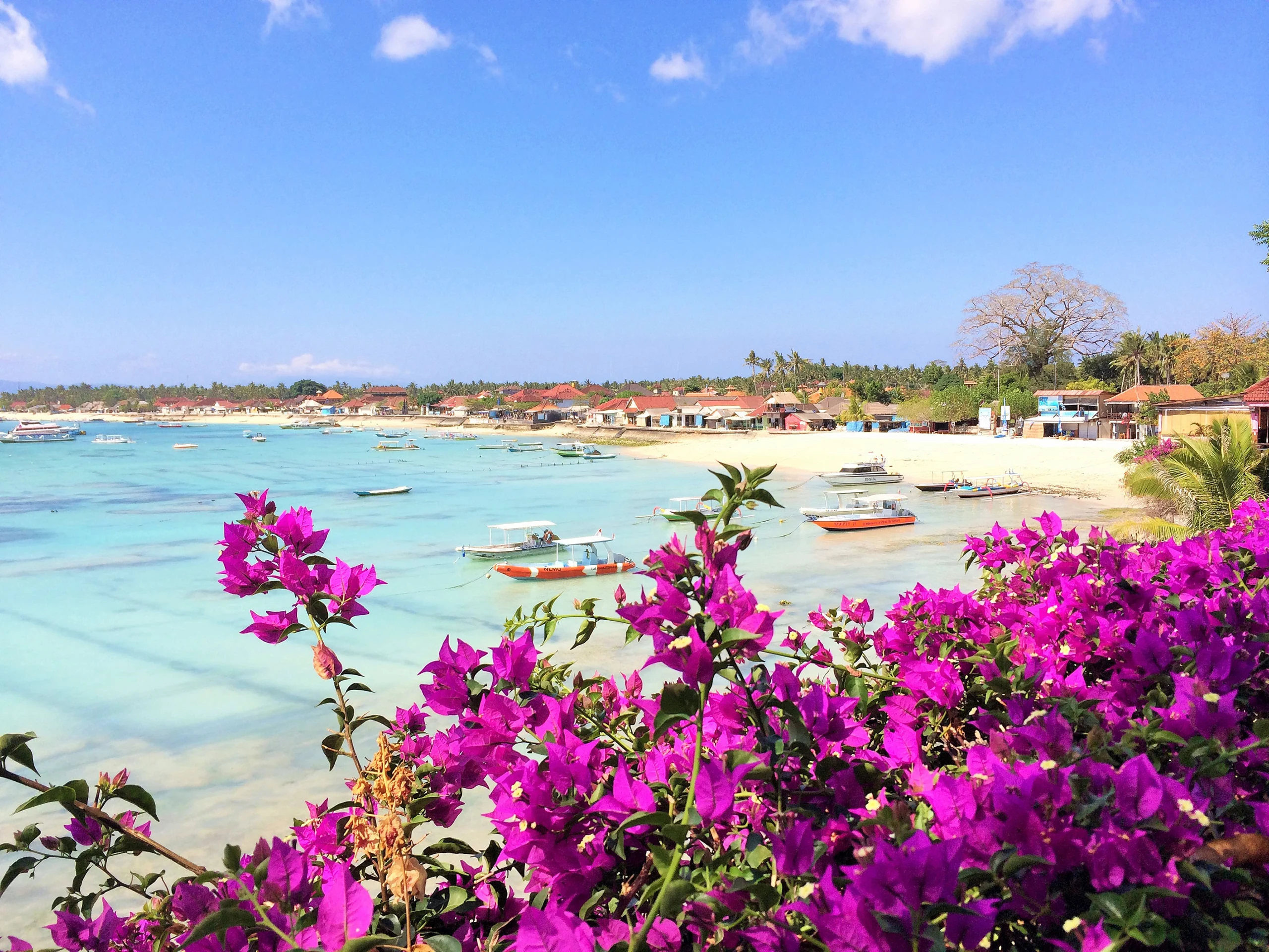 Panorama of Jungutbatu Beach, Nusa Lembongan, with turquoise water and tropical flowers